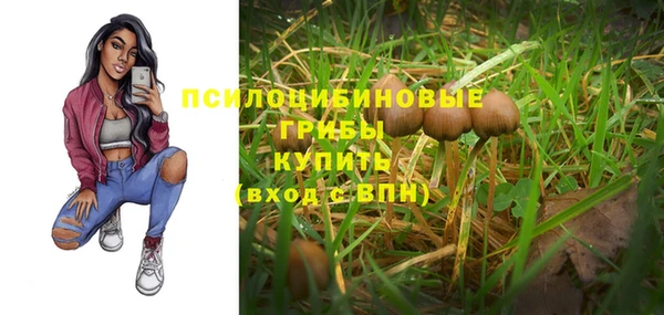 ALPHA PVP Армянск