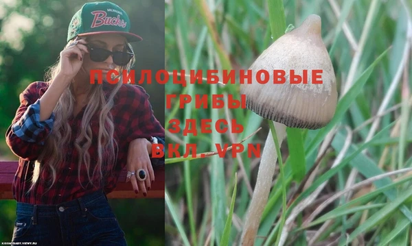 PSILOCYBIN Арсеньев