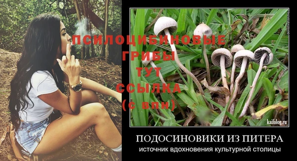 PSILOCYBIN Арсеньев