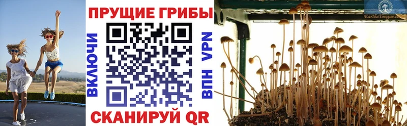 Галлюциногенные грибы мухоморы  цены наркотик  Суоярви 